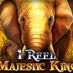1 Reel Majestic King